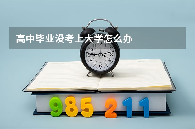 高中毕业没考上大学怎么办
