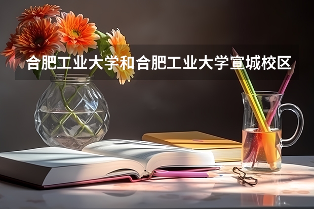 合肥工业大学和合肥工业大学宣城校区有什么区别