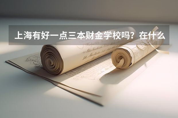 上海有好一点三本财金学校吗？在什么地方？