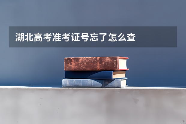 湖北高考准考证号忘了怎么查