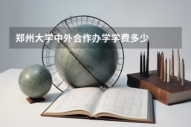 郑州大学中外合作办学学费多少