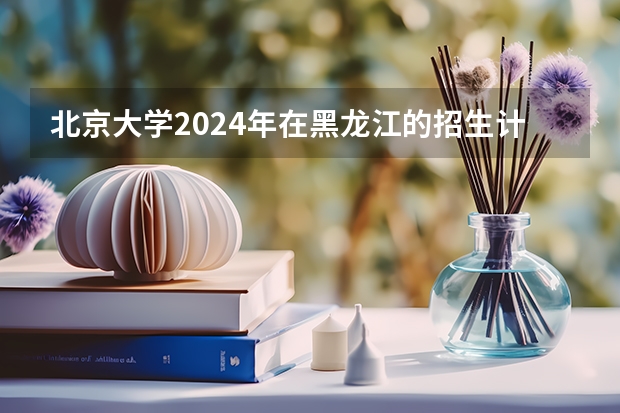 北京大学2024年在黑龙江的招生计划是多少 2024年北京大学软件与微电子学院全国优秀大学生夏令营通知来啦