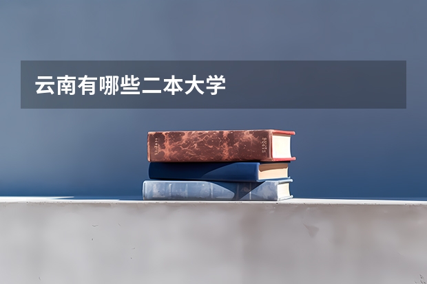 云南有哪些二本大学