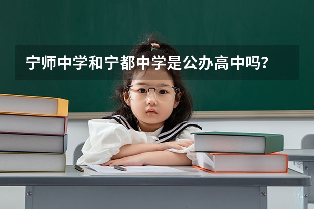 宁师中学和宁都中学是公办高中吗？
