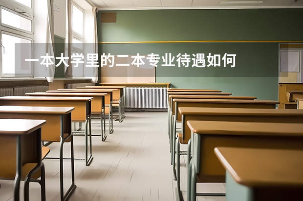 一本大学里的二本专业待遇如何