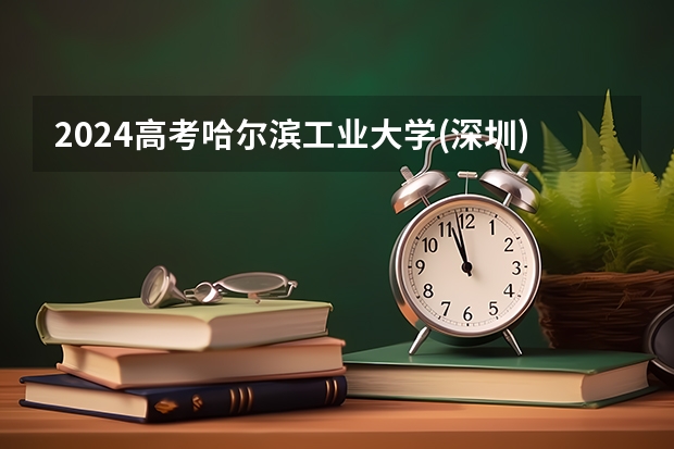2024高考哈尔滨工业大学(深圳)在海南招生计划（招生人数）