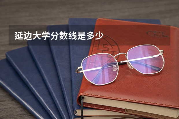 延边大学分数线是多少