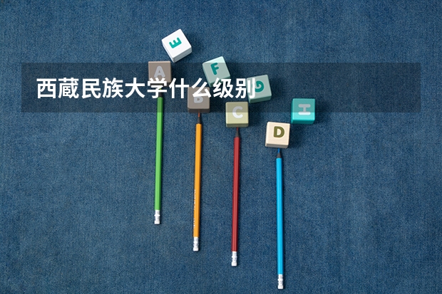 西蔵民族大学什么级别