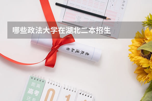 哪些政法大学在湖北二本招生