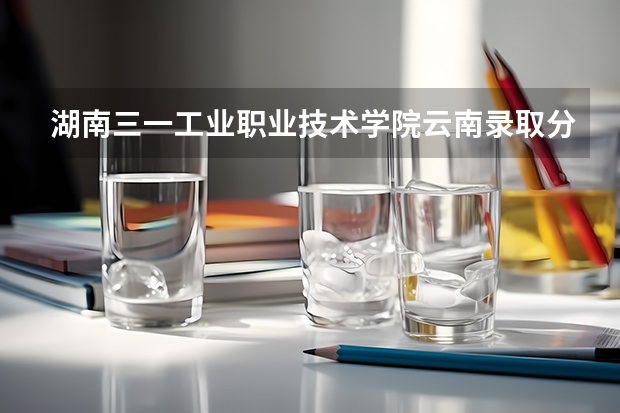 湖南三一工业职业技术学院云南录取分数线 湖南三一工业职业技术学院云南招生人数