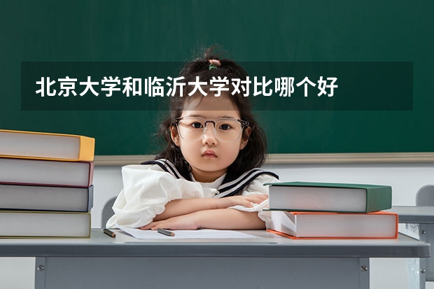 北京大学和临沂大学对比哪个好