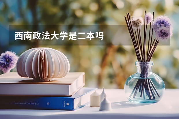 西南政法大学是二本吗