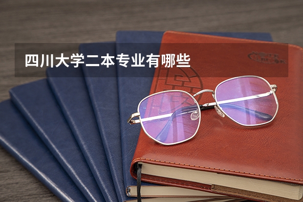 四川大学二本专业有哪些