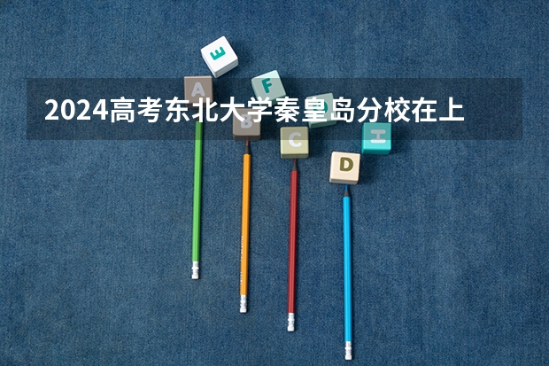 2024高考东北大学秦皇岛分校在上海招生计划（招生人数）