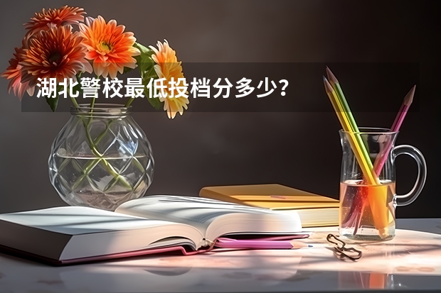 湖北警校最低投档分多少？