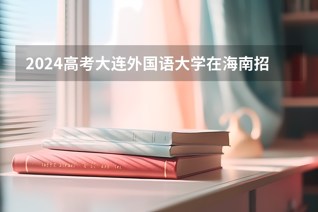 2024高考大连外国语大学在海南招生计划（招生人数）