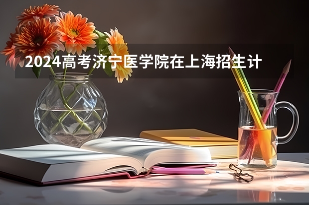 2024高考济宁医学院在上海招生计划（招生人数）