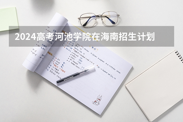 2024高考河池学院在海南招生计划（招生人数）