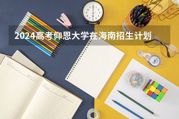 2024高考仰恩大学在海南招生计划（招生人数）