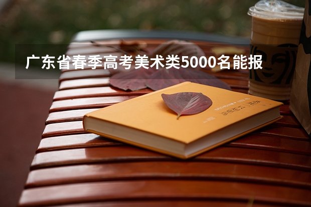 广东省春季高考美术类5000名能报什么学校