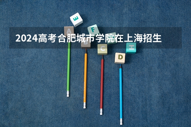 2024高考合肥城市学院在上海招生计划（招生人数）