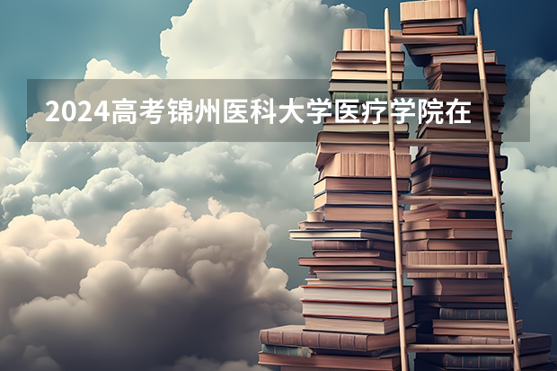2024高考锦州医科大学医疗学院在北京招生计划（招生人数）