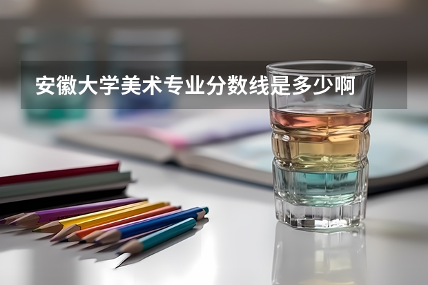 安徽大学美术专业分数线是多少啊