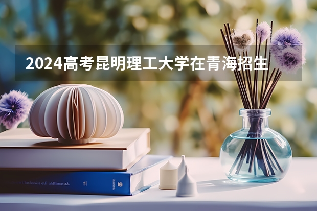 2024高考昆明理工大学在青海招生计划（招生人数）