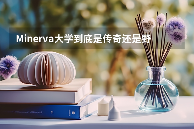 Minerva大学到底是传奇还是野鸡（赣南师范大学全国排名）