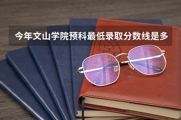 今年文山学院预科最低录取分数线是多少？