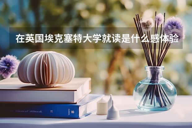 在英国埃克塞特大学就读是什么感体验？