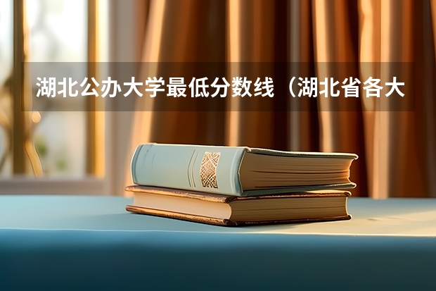 湖北公办大学最低分数线（湖北省各大学录取分数线）