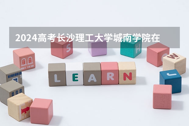 2024高考长沙理工大学城南学院在青海招生计划（招生人数）